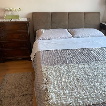 Apartment On Akademika Lazarenka 48A 利沃夫 外观 照片